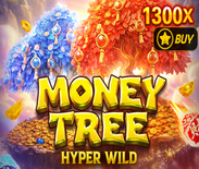 Money Tree - Hyper Wild